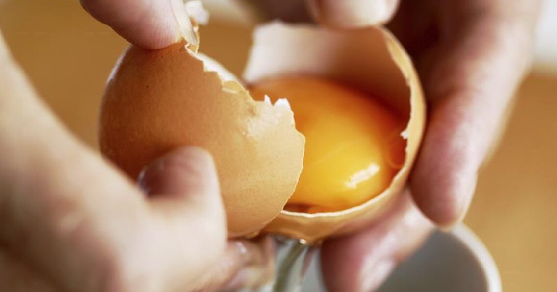 eggs contain a high amount of protein which burns body fat