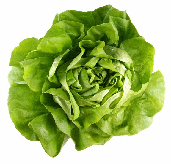 Lettuce 