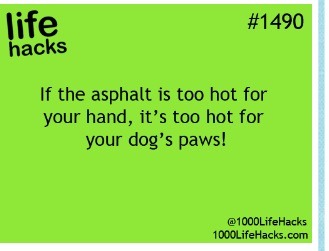 17 Life Hacks 