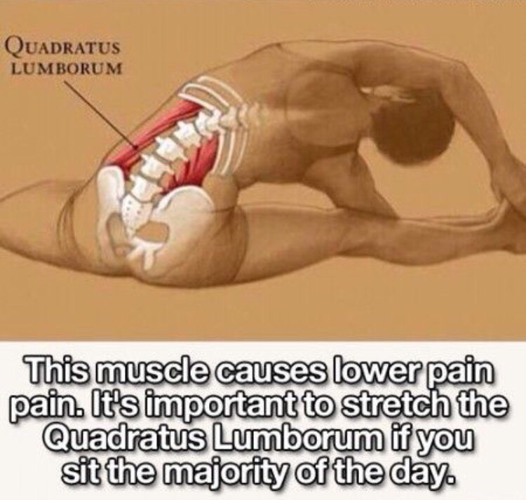 Types Of Stretches That Can Improve Different Parts Of Your Body.