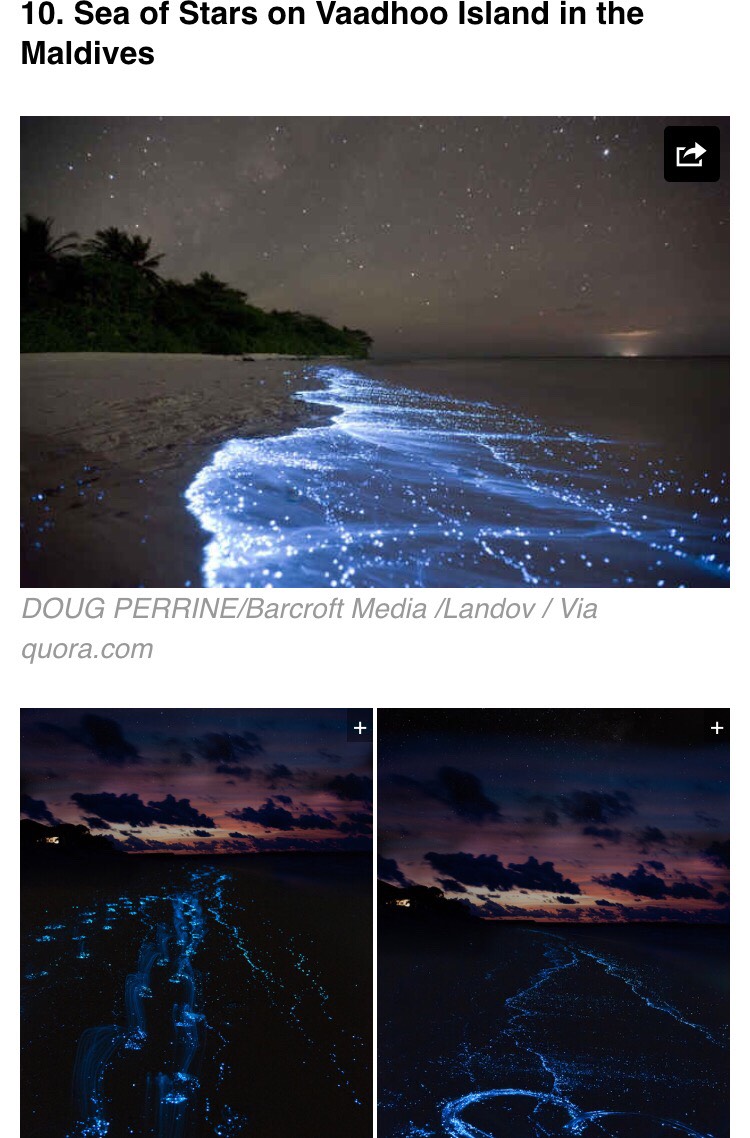 What may appear as a mirror image of the stars above, the bioluminescence in the water is actually due to marine microbes called phytoplankton. The effect it has on the shore is absolutely breathtaking.