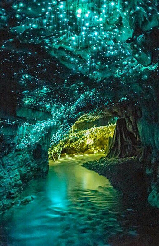 Glow Worm Caves, New Zealand