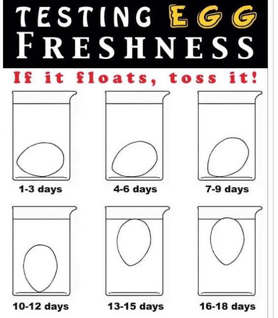 36 Kitchen Tips That No One Ever Told You About!! 