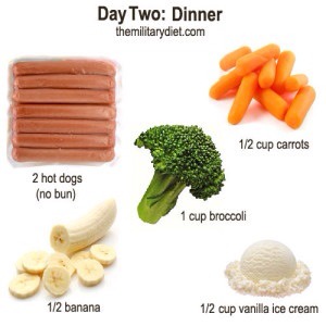 2 hot dogs (without bun)
1 cup of broccoli
1/2 cup of carrots
1/2 banana
1/2 cup of vanilla ice cream