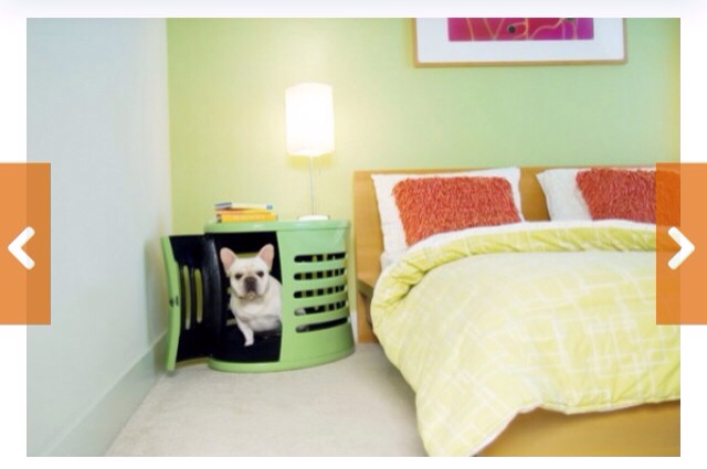 🌟 Creative Dog Bed Ideas You And Furry Friend Wld Love! 🌟