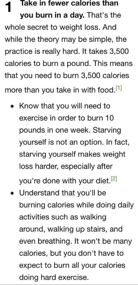 A Guide For Losing Weight FAST