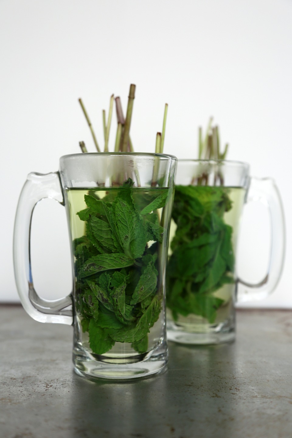 Home Made Fresh Mint Tea 