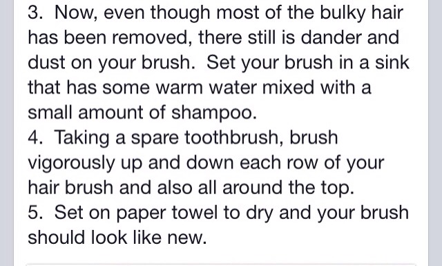 ✨ Cleaning Your Hair Brush For Healthy Hair!!✨