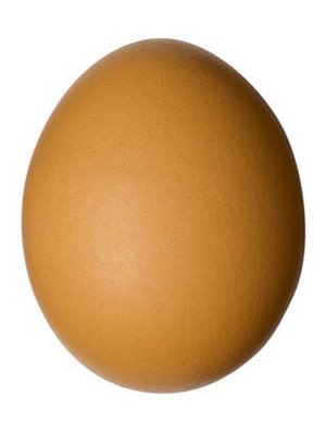 First you will need your ingredients. 
1 Large Egg