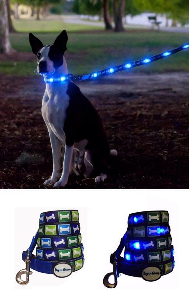 2. Now you can walk your dog in the dark and not get hit by a car. Dog-e-Glow Leash Collar
$23.99