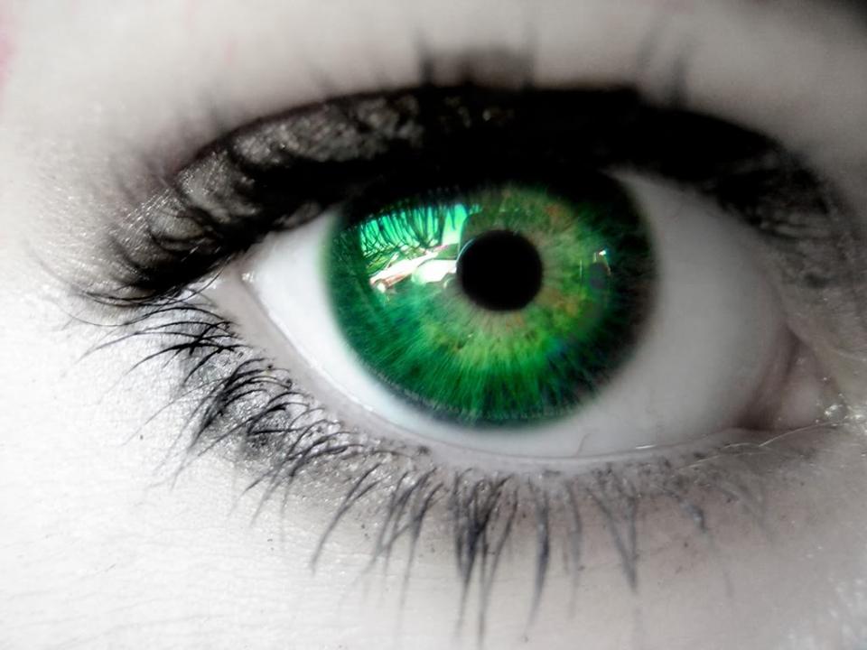 Sepia, rust, purple, pink for GREEN EYES
