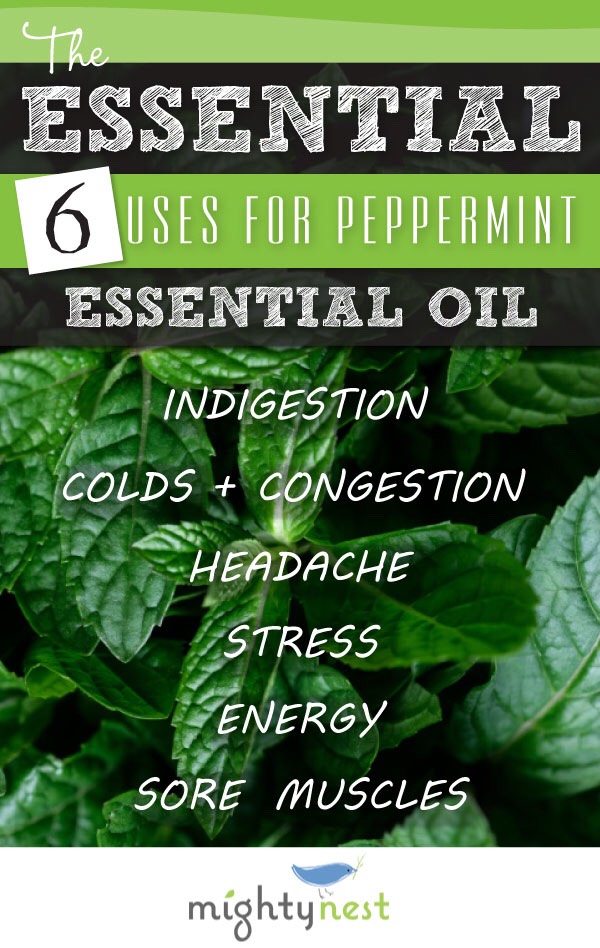 Peppermint Oil Uses: 