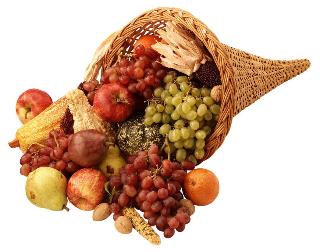 Thanksgiving Food 