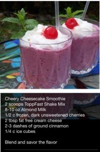 Topp Fast Shake Recipes