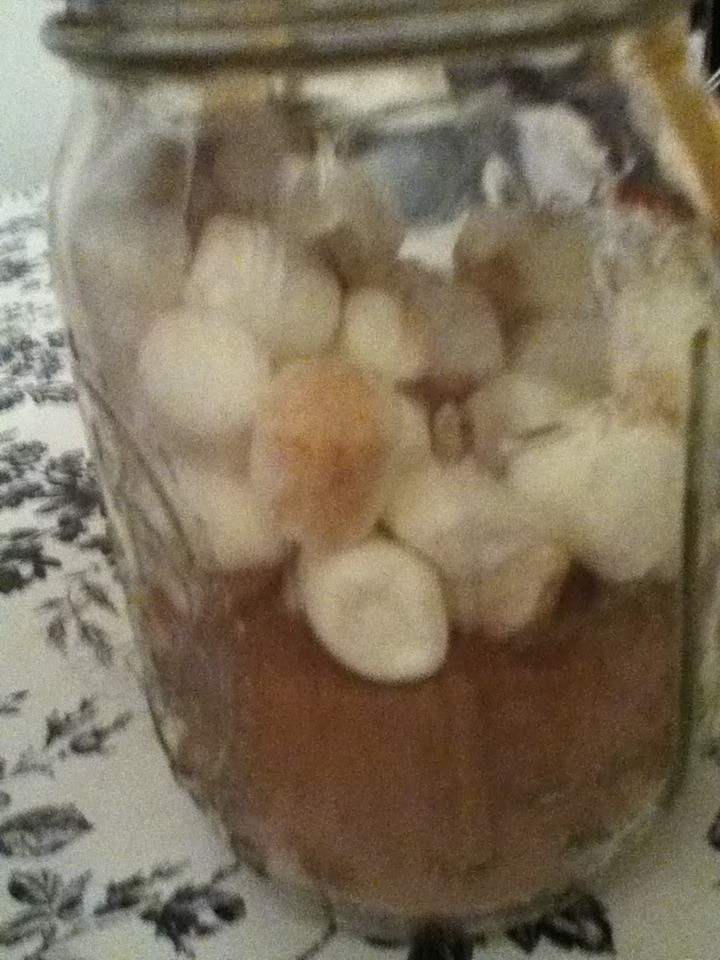 Hot Chocolate In Jars