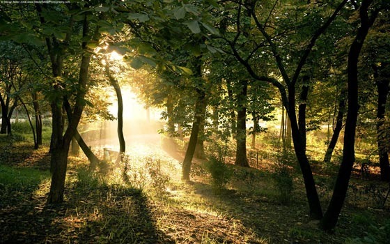 Beautiful Photography