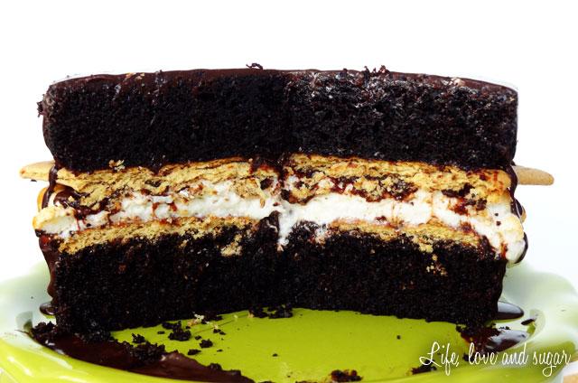 Smores Chocolate Cake