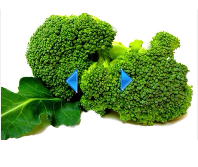 🎀 Top 10 Foods That Burns Fat🎀