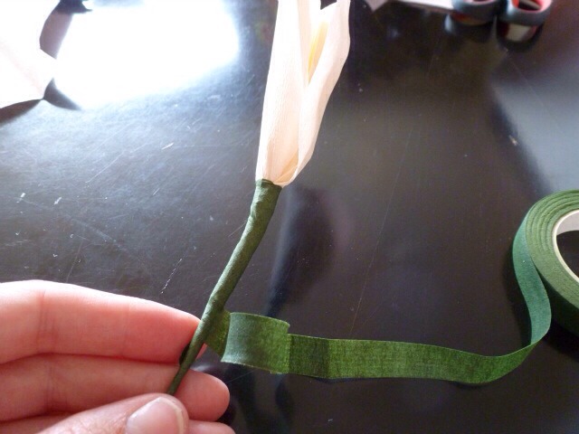 Crepe Paper Flowers:) 