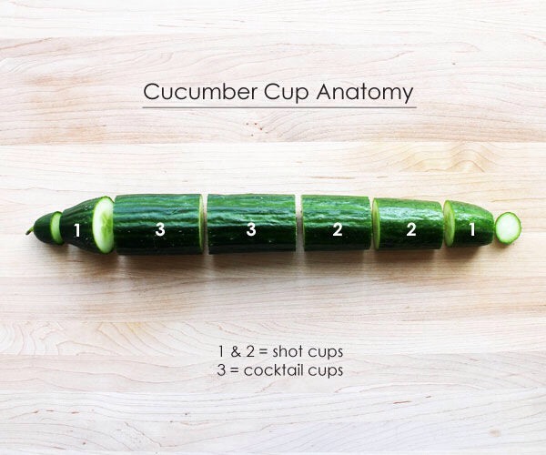 1. Wash your cucumbers.
2. Cut them into sections according to the diagram. *IMPORTANT: try and cut at a 90 degree angle to the edge, so the cups will sit flat on (AKA perpendicular to) the table.

You should end up with approximately two of each style cup per cuke.