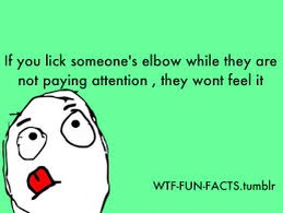 Fun Facts