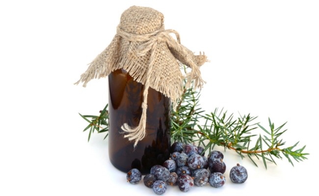 Juniper Berry Essential Oil helps promote circulation, and also aids in removing toxins from the body which is why it is often recommended for cellulite. It is also a natural astringent, tightening the skin and keeping it youthful.