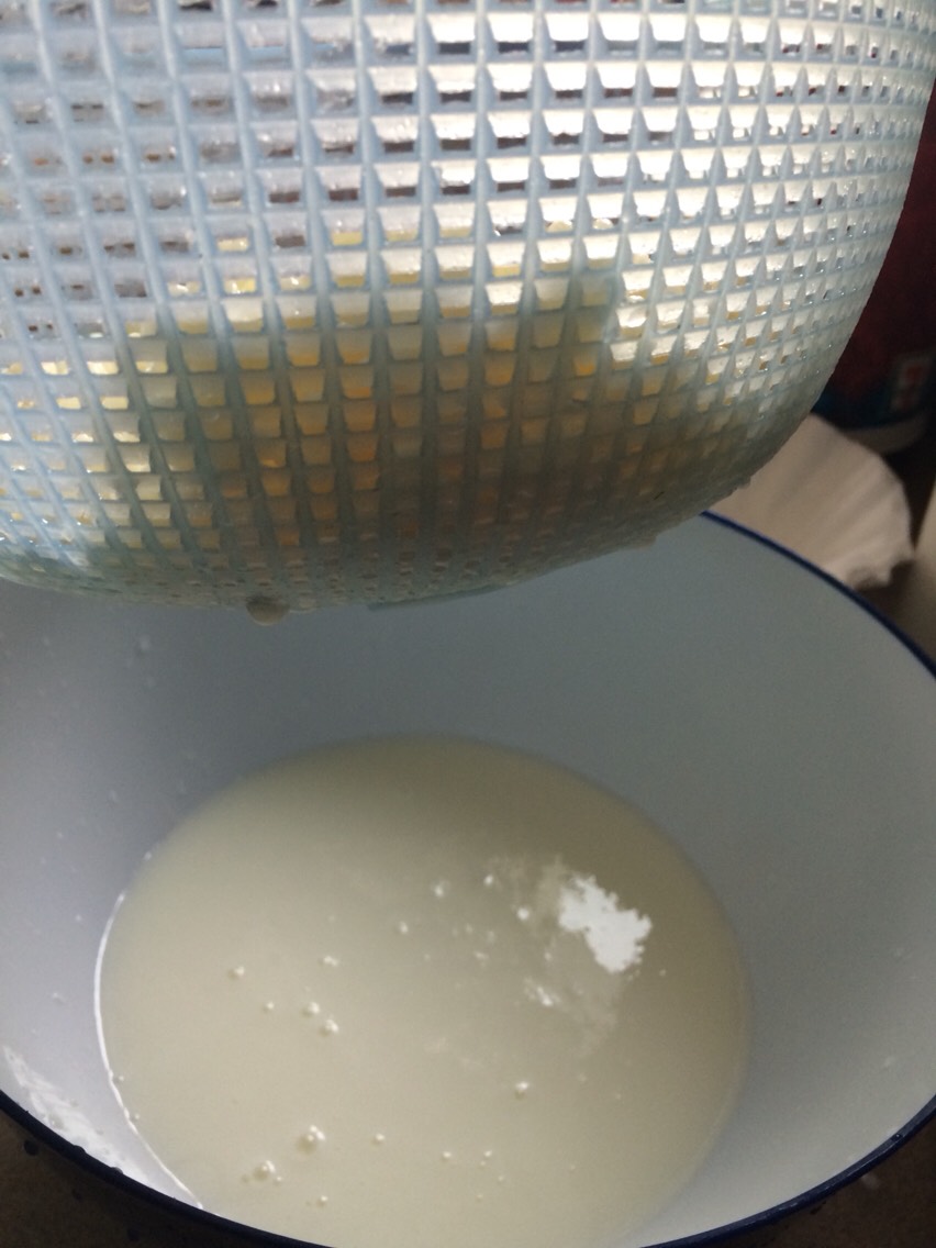 This is what the kefir milk will look like 