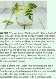 5 Fat Flush Water Recipes!