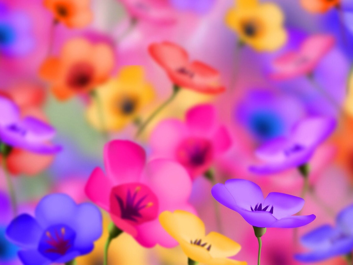 Colorful Wallpaper
