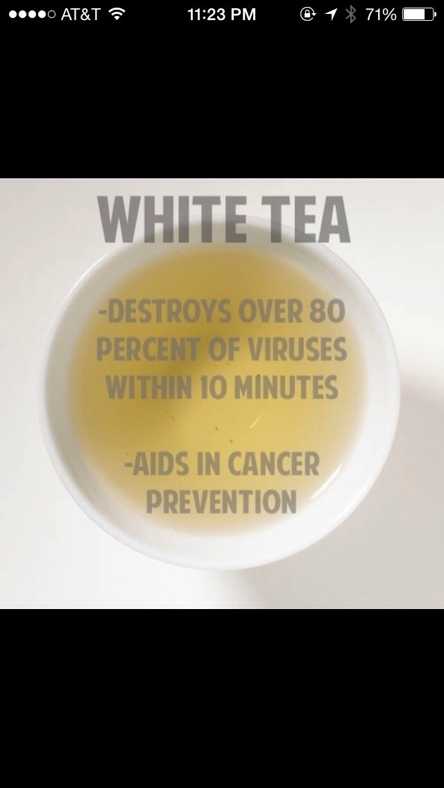 Tea Benefits 