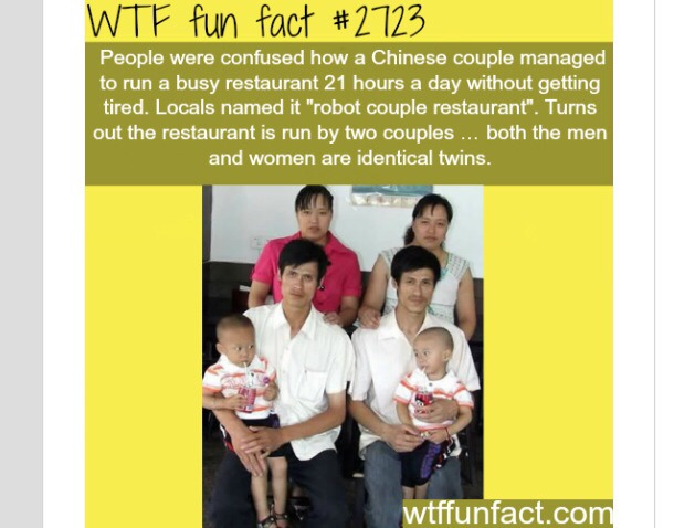 Fun Crazy Facts