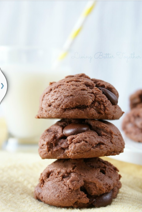 Double Chocolate Chip Pudding Cookies!