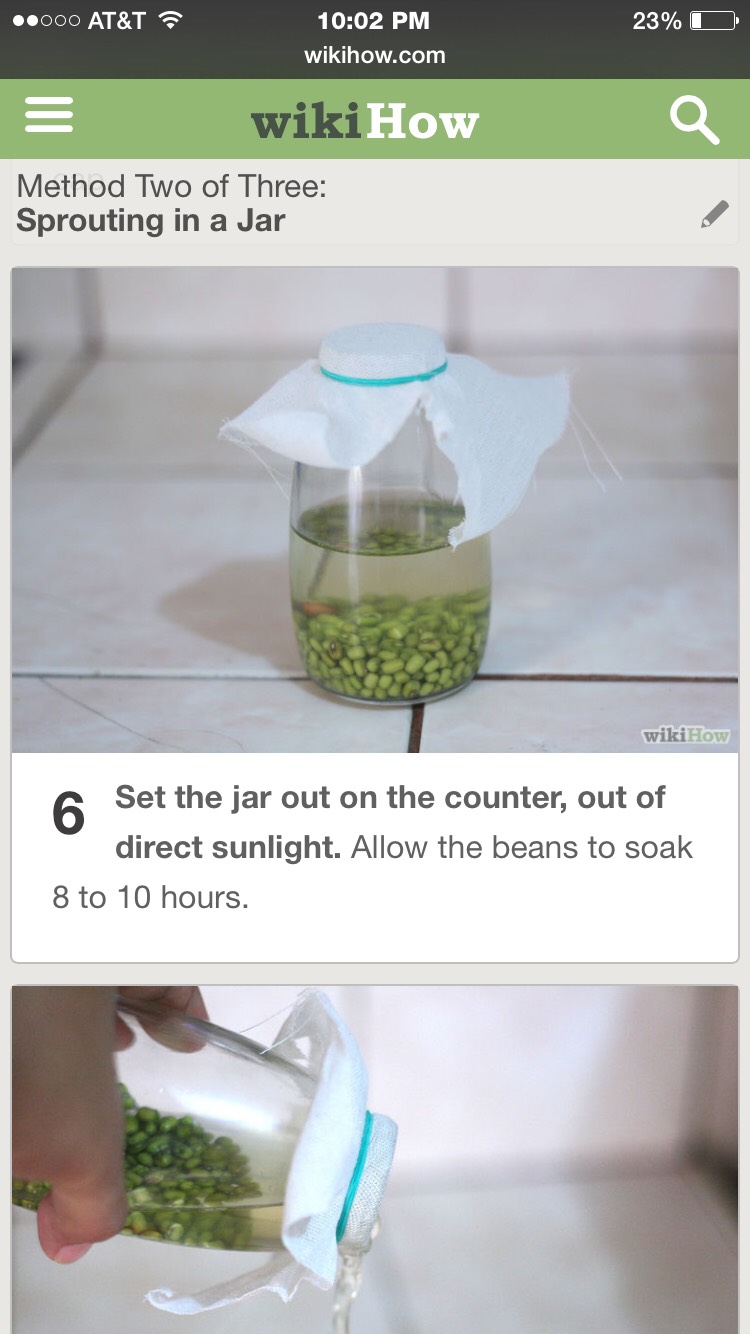 Grow Your Own Mung Sprouts- Super Easy, Super Fast, And Super Healthy! 
