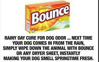 Safe Remidies for Everything for Humans to Pets!! 