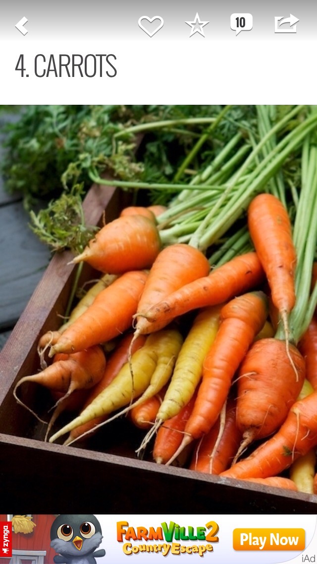 7 Puppy Friendly & Healthy Foods