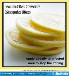Summer Hacks