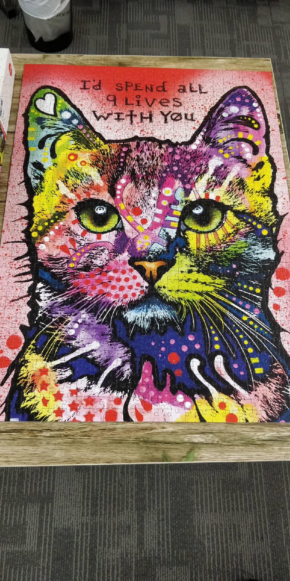 cats 9