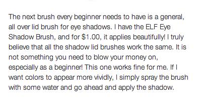 Must Have Makeup Brushes For Beginners