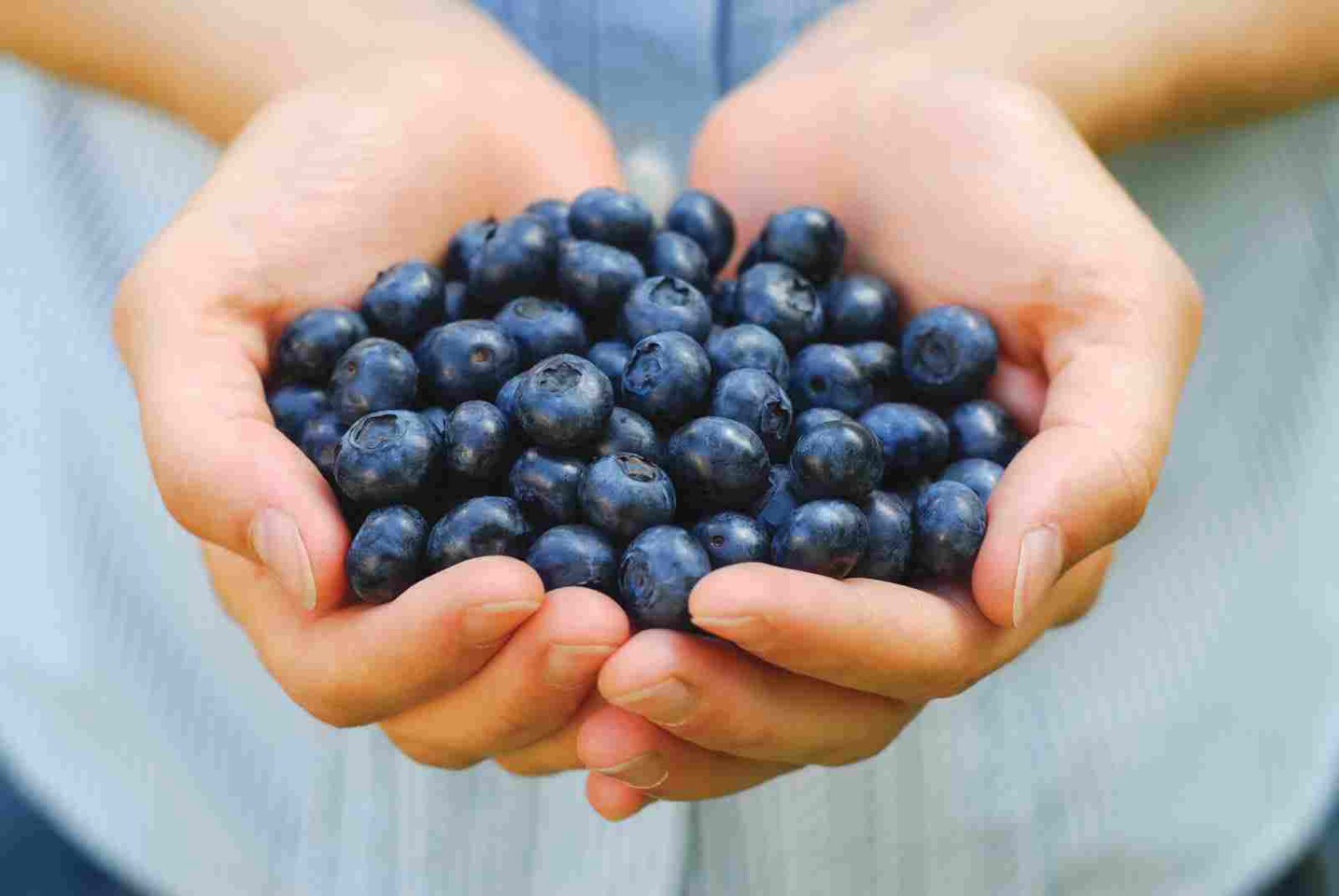 Foods To Maintain Healthy Hair And Skin! :3
