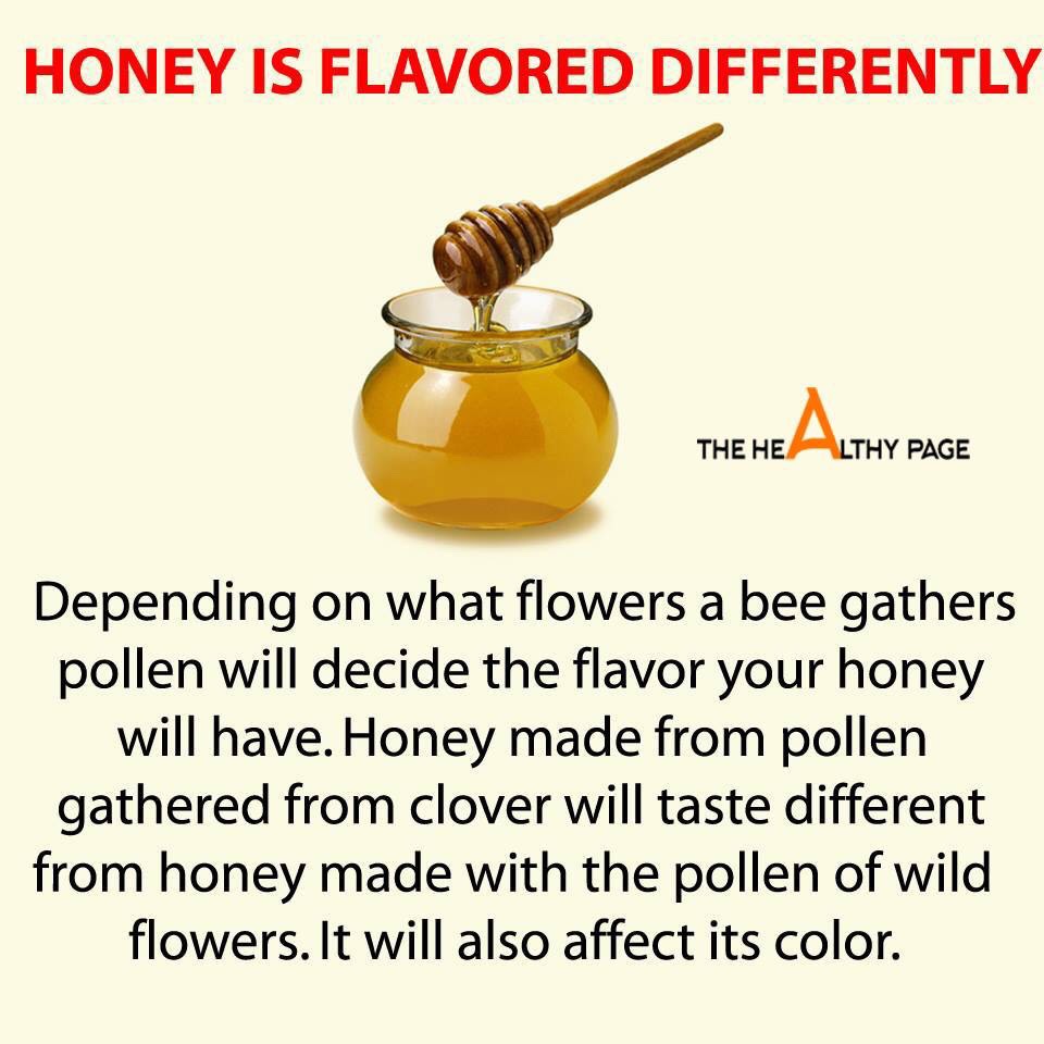 9 Healthy Benefits Of Honey.  