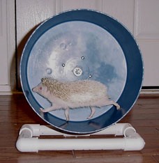 Exercise -
This is important for all mammals, make sure your Hedgehog gets the proper exercise he\she needs. A wheel or a travel ball works pretty well. Steer clear of wheels that have slits or made from wire if the hedgey's leg gets caught it can easily be broken. 
