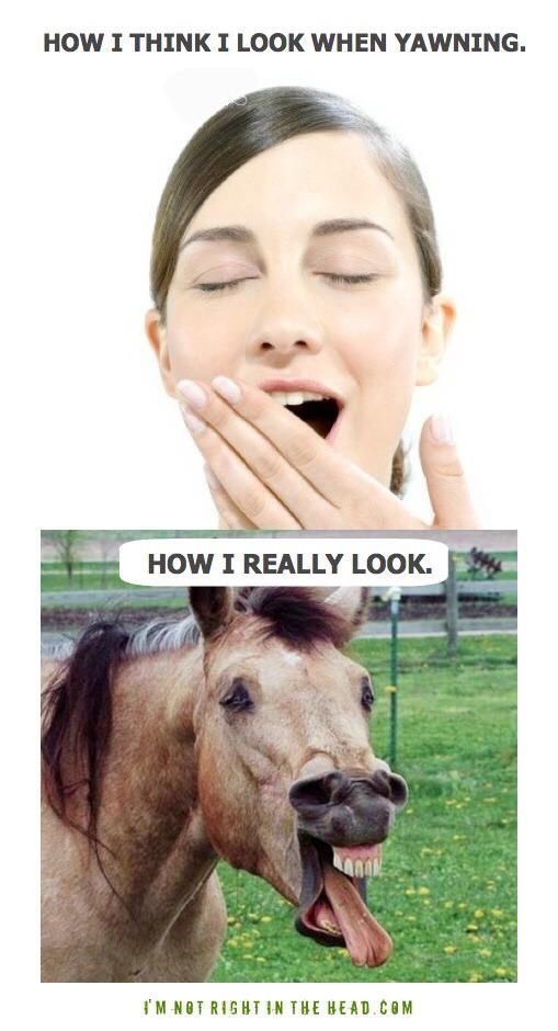 Hope this made you smile!!
~Amanda Alcala