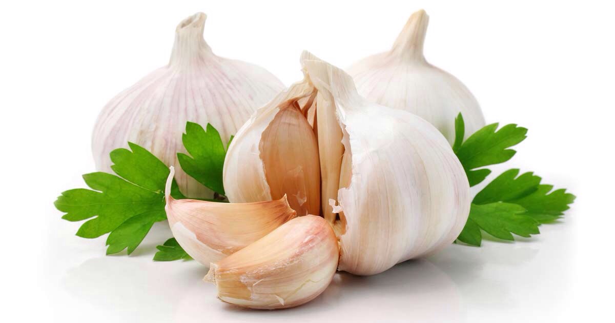 Garlic 