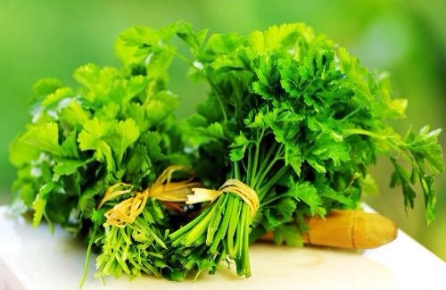 1. Parsley
parsley helps fight bad skin and breakouts. Add this wonderful herb to your salads, cook with it, juice with it, and add to your healthy smoothies. It’s not expensive so you don’t have to worry about your budget. Fresh parsley adds a delightfully fresh taste that you’ll certainly love.