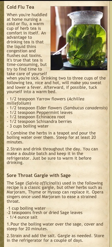 Homemade Herbal Cold & Flu Tea