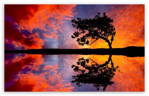 Including reflections in your photos (where present) is an easy way to instantly make them more appealing. Whether it's a crisp reflection like this, or a more distorted one, photos can look a lot more interesting with the reflection.