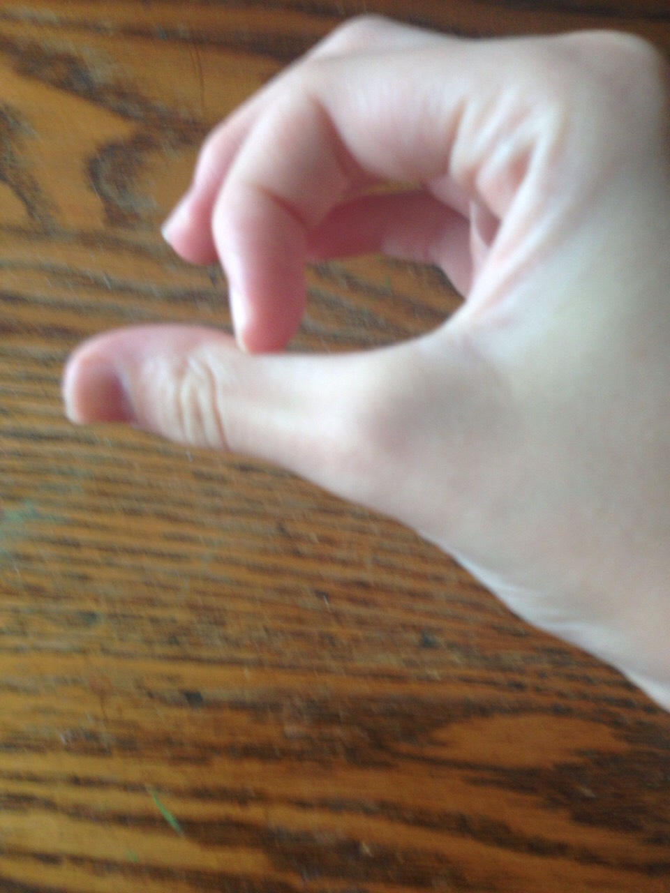 Take some dough and make sure that it is about the size of your pointer finger to the middle of your thumb. (Shown above) I could fit 12 on the tray. 