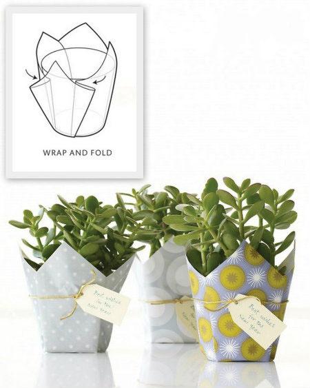 Wrap a plant in a square of pretty paper or fabric