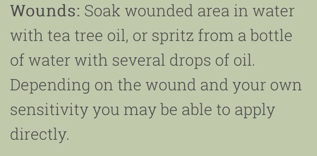 💥75 Amazing Tea Tree Oil Uses💥