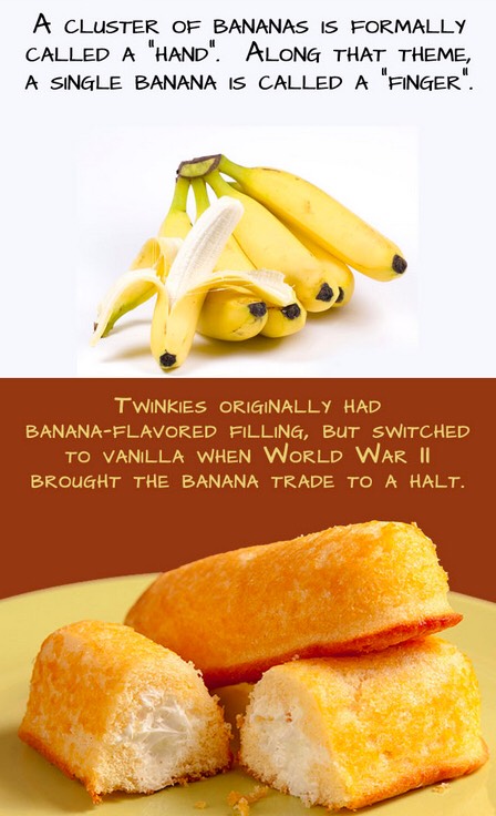 Fun Food Facts. 😊